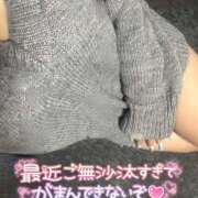 ヒメ日記 2026/02/26 18:24 投稿 なな 僕らのぽっちゃリーノin越谷