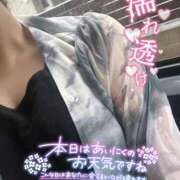 ヒメ日記 2025/07/15 18:36 投稿 なな 僕らのぽっちゃリーノin春日部