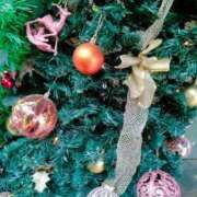 ヒメ日記 2024/12/14 15:59 投稿 あい 出会い系人妻ネットワーク さいたま～大宮編