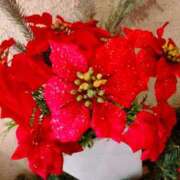 ヒメ日記 2024/12/23 13:33 投稿 あい 出会い系人妻ネットワーク さいたま～大宮編