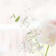 ヒメ日記 2025/01/11 08:19 投稿 あい 出会い系人妻ネットワーク さいたま～大宮編