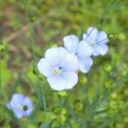 ヒメ日記 2025/02/05 13:30 投稿 あい 出会い系人妻ネットワーク さいたま～大宮編