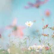 ヒメ日記 2025/06/17 21:21 投稿 あい 出会い系人妻ネットワーク さいたま～大宮編