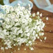 ヒメ日記 2025/08/25 10:24 投稿 あい 出会い系人妻ネットワーク さいたま～大宮編