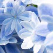 ヒメ日記 2025/09/05 21:45 投稿 あい 出会い系人妻ネットワーク さいたま～大宮編