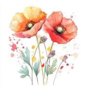 ヒメ日記 2025/09/14 20:41 投稿 あい 出会い系人妻ネットワーク さいたま～大宮編