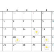 ヒメ日記 2026/01/13 06:39 投稿 あい 出会い系人妻ネットワーク さいたま～大宮編