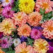 ヒメ日記 2026/01/22 22:22 投稿 あい 出会い系人妻ネットワーク さいたま～大宮編