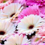 ヒメ日記 2026/02/02 11:51 投稿 あい 出会い系人妻ネットワーク さいたま～大宮編