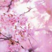 ヒメ日記 2026/03/05 22:39 投稿 あい 出会い系人妻ネットワーク さいたま～大宮編