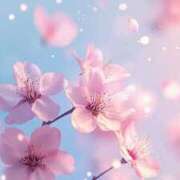 ヒメ日記 2026/04/14 10:17 投稿 あい 出会い系人妻ネットワーク さいたま～大宮編