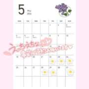 ヒメ日記 2026/05/15 09:24 投稿 あい 出会い系人妻ネットワーク さいたま～大宮編