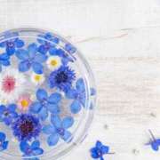 ヒメ日記 2025/02/15 12:41 投稿 あい 出会い系人妻ネットワーク 春日部〜岩槻編