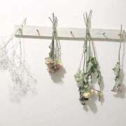 ヒメ日記 2025/02/21 16:05 投稿 あい 出会い系人妻ネットワーク 春日部〜岩槻編