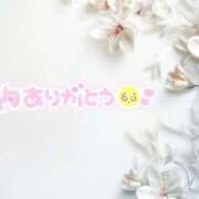 ヒメ日記 2025/03/11 09:12 投稿 あい 出会い系人妻ネットワーク 春日部〜岩槻編