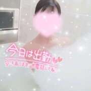 ヒメ日記 2025/04/12 06:00 投稿 あい 出会い系人妻ネットワーク 春日部〜岩槻編