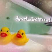 ヒメ日記 2025/04/12 15:30 投稿 あい 出会い系人妻ネットワーク 春日部〜岩槻編