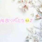 ヒメ日記 2025/05/25 10:28 投稿 あい 出会い系人妻ネットワーク 春日部〜岩槻編