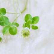 ヒメ日記 2025/09/15 09:57 投稿 あい 出会い系人妻ネットワーク 春日部〜岩槻編