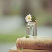 ヒメ日記 2026/02/24 14:54 投稿 あい 出会い系人妻ネットワーク 春日部〜岩槻編