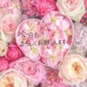 ヒメ日記 2026/03/07 06:24 投稿 あい 出会い系人妻ネットワーク 春日部〜岩槻編