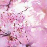 ヒメ日記 2026/03/31 20:57 投稿 あい 出会い系人妻ネットワーク 春日部〜岩槻編
