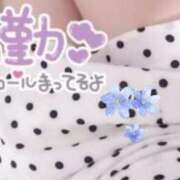 ヒメ日記 2026/04/27 20:07 投稿 あい 出会い系人妻ネットワーク 春日部〜岩槻編