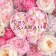 ヒメ日記 2026/05/08 06:49 投稿 あい 出会い系人妻ネットワーク 春日部〜岩槻編