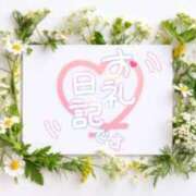 ヒメ日記 2026/06/12 20:02 投稿 あい 出会い系人妻ネットワーク 春日部〜岩槻編