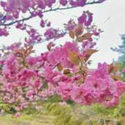 ヒメ日記 2025/04/25 16:12 投稿 ねお ラブコレ