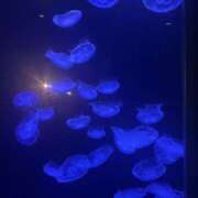 ヒメ日記 2025/06/03 09:22 投稿 ねお ラブコレ