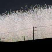 ヒメ日記 2026/08/20 15:12 投稿 ねお ラブコレ
