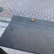 ヒメ日記 2025/01/12 15:33 投稿 みこ 錦糸町派遣型JKリフレガチあい