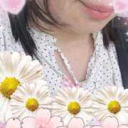 ヒメ日記 2025/06/17 10:09 投稿 ひばり 熟女家 堺東店