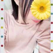 ヒメ日記 2026/04/23 09:51 投稿 ひばり 熟女家 堺東店