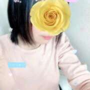ヒメ日記 2026/05/11 09:07 投稿 ひばり 熟女家 堺東店