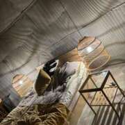 ヒメ日記 2025/10/03 01:15 投稿 かなみ ぽっちゃり巨乳専門店 町田相模原ちゃんこ