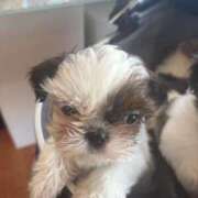 ヒメ日記 2025/10/05 15:45 投稿 かなみ ぽっちゃり巨乳専門店 町田相模原ちゃんこ