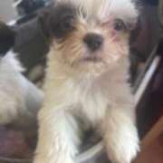 ヒメ日記 2025/11/01 02:54 投稿 かなみ ぽっちゃり巨乳専門店 町田相模原ちゃんこ