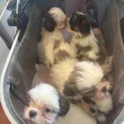 ヒメ日記 2025/11/08 15:00 投稿 かなみ ぽっちゃり巨乳専門店 町田相模原ちゃんこ