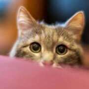 ヒメ日記 2025/11/28 11:32 投稿 かなみ ぽっちゃり巨乳専門店 町田相模原ちゃんこ