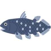 ヒメ日記 2025/12/20 11:18 投稿 かなみ ぽっちゃり巨乳専門店 町田相模原ちゃんこ