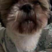 ヒメ日記 2026/01/11 08:15 投稿 かなみ ぽっちゃり巨乳専門店 町田相模原ちゃんこ