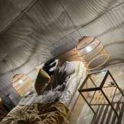 ヒメ日記 2026/01/21 01:15 投稿 かなみ ぽっちゃり巨乳専門店 町田相模原ちゃんこ