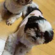 ヒメ日記 2026/02/22 08:16 投稿 かなみ ぽっちゃり巨乳専門店 町田相模原ちゃんこ