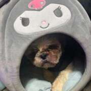 かなみ 夜🌃 ぽっちゃり巨乳専門店 町田相模原ちゃんこ