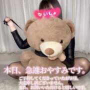 ヒメ日記 2025/02/18 15:46 投稿 せな 変態なんでも鑑定団