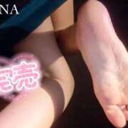 ヒメ日記 2025/09/27 13:03 投稿 せな 変態なんでも鑑定団