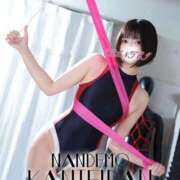 ヒメ日記 2025/10/17 12:52 投稿 せな 変態なんでも鑑定団