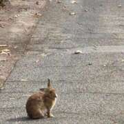 ヒメ日記 2025/02/22 22:13 投稿 あきほ 素人オナクラ美少女